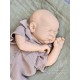 8 Septiembre PRE-ORDEN Kit LEELIN, escultora JoyLynn Wong