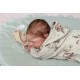 8 Septiembre PRE-ORDEN Kit LEELIN, escultora JoyLynn Wong