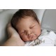 8 Septiembre PRE-ORDEN Kit LEELIN, escultora JoyLynn Wong