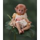 Domingo 27 Septiembre. PRE-ORDEN kit FLOWER. Escultora Olga Auer