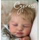 Lunes 5 Octubre PRE-ORDEN Kit CYPRESS. Escultora Dawn Murray McLeod. Edición limitada