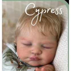 Lunes 5 Octubre PRE-ORDEN Kit CYPRESS. Escultora Dawn Murray McLeod. Edición limitada