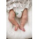 PRE-ORDEN kit FELLIE , Escultora CASSIE ANN LOVE . Cassie Brace (apellido casada).Edición Limitada